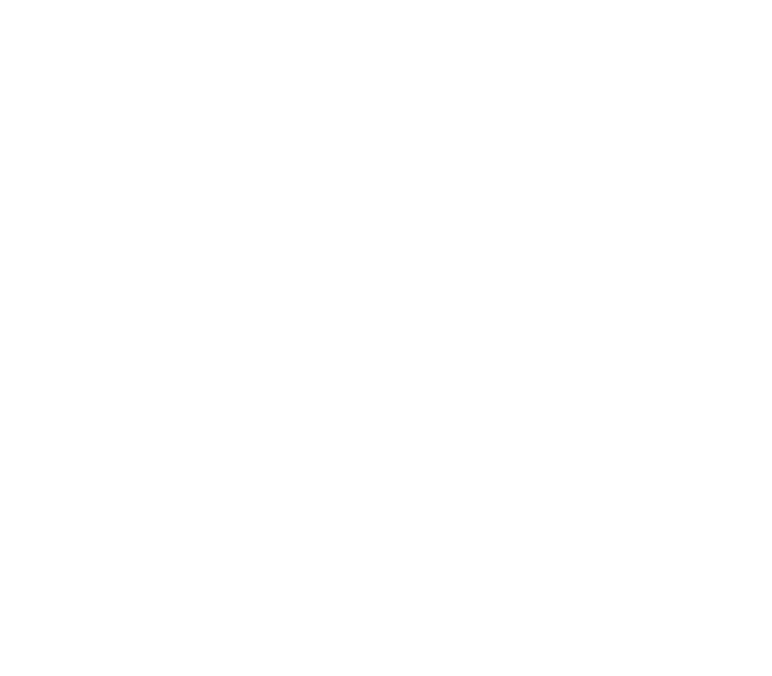 GRIFON Zenica